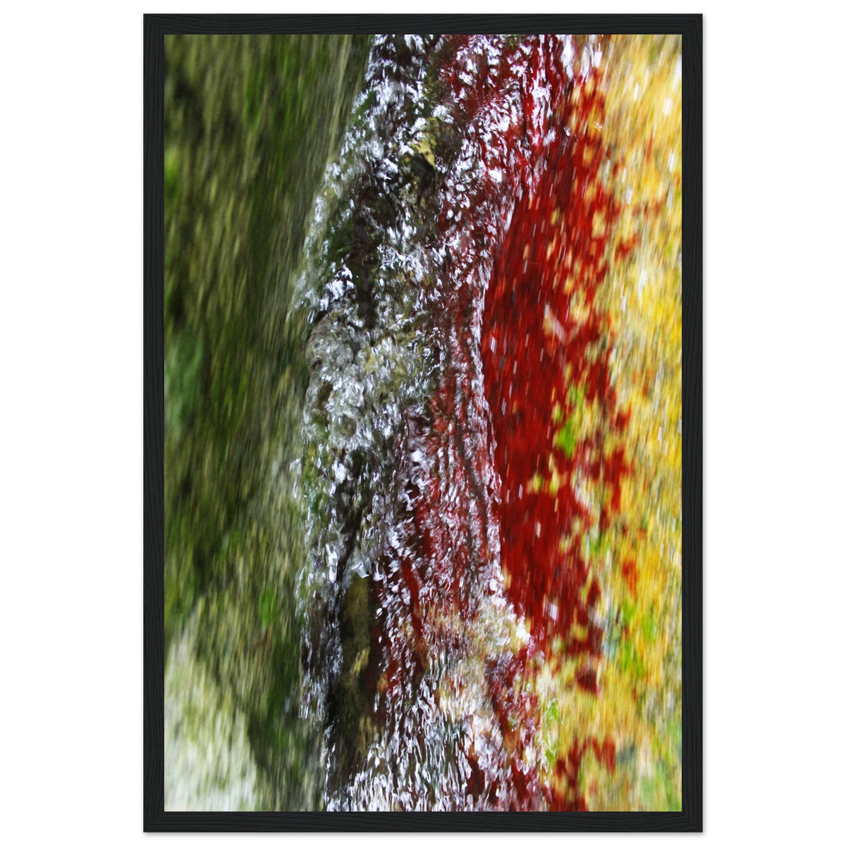 6ce8fc52-c811-4e0a-92ef-c9b8283591d4