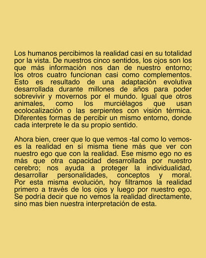 NOSOTROS — Fanzine de fotografía de calle