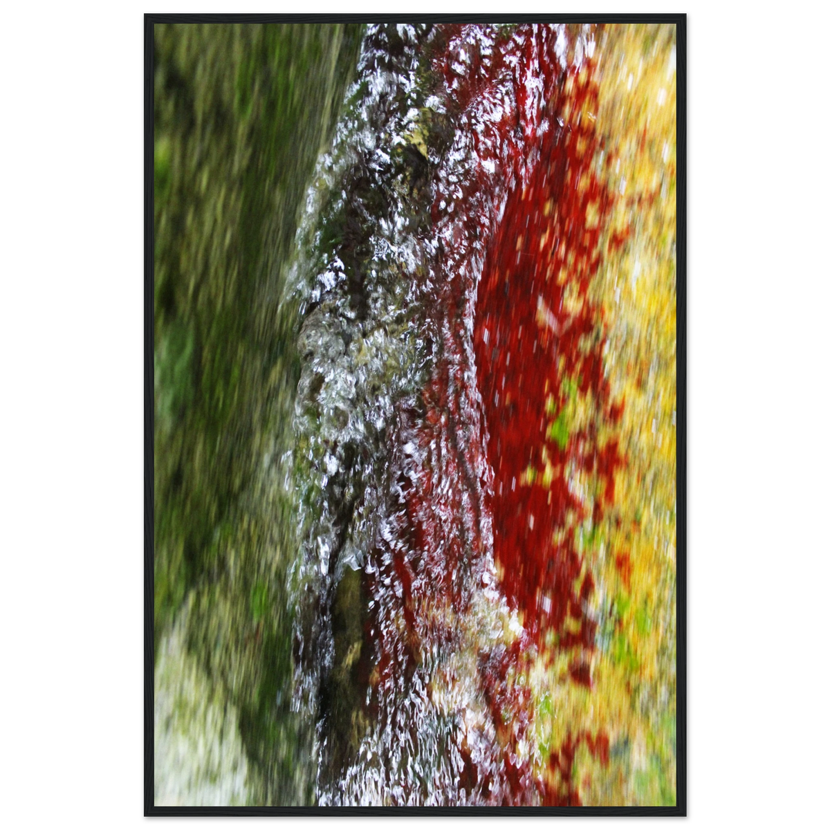 f57f119b-0787-4e2c-a17e-a13b96bb6ad3