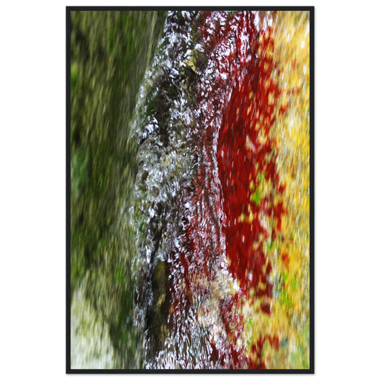 f57f119b-0787-4e2c-a17e-a13b96bb6ad3